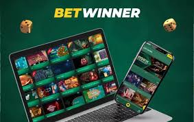 Placing Bets on BetWinner Cameroon A Comprehensive Guide 2014864722