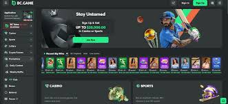 Understanding BC.Game Payment Methods A Comprehensive Guide 1015220770